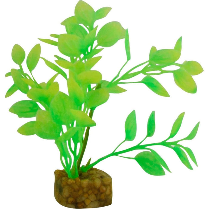 GLOFISH CYCLE LIGHT PLANT