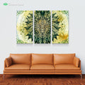 Jungle Lion mandalas by McAshe 3-Piece Canvas Art