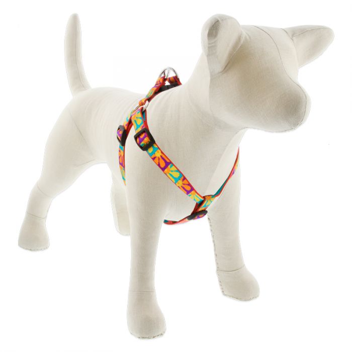 Lupine Pet Original Designs Dog Collar