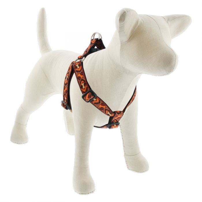 Lupine Pet Original Designs Dog Collar