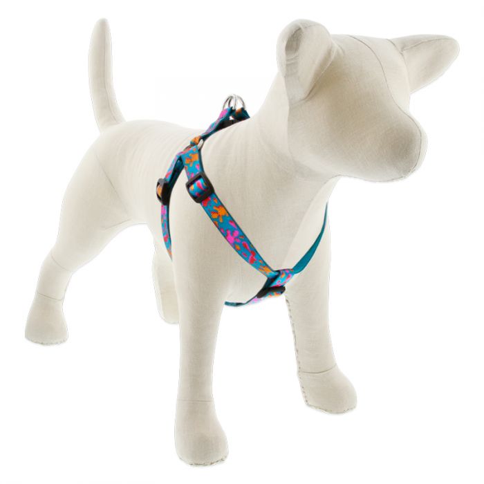 Lupine Pet Original Designs Dog Collar