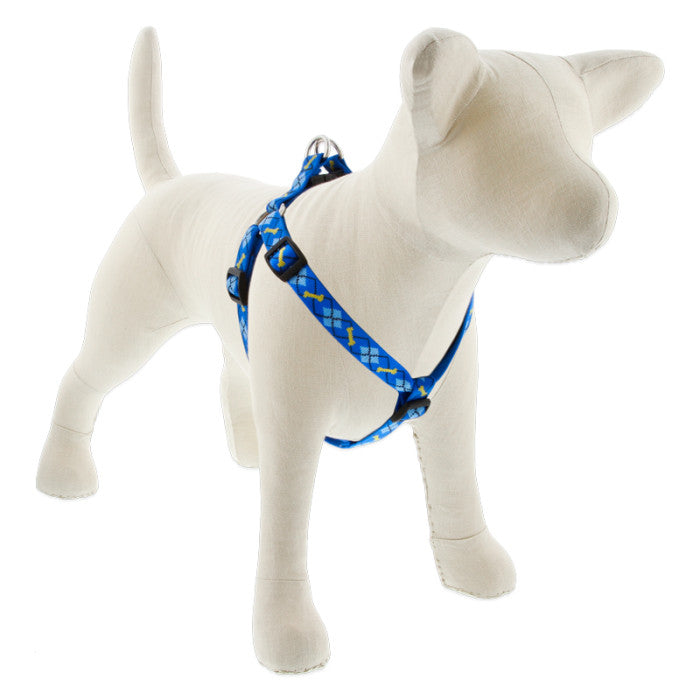 3/4 x 20-30" Dapper Dog