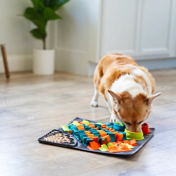 Messy Mutts Square Forage/Snuffle Mat plus Lick Mat, 16" x 16"