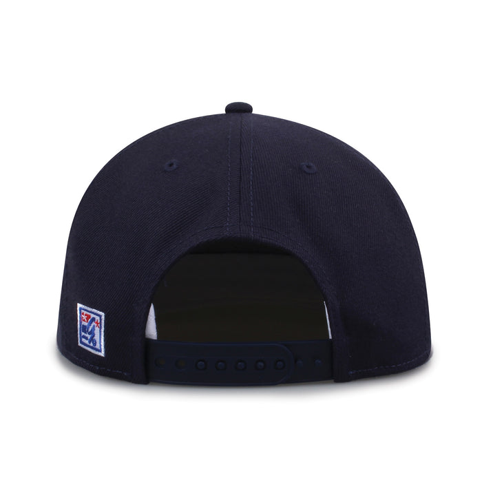 Michigan 86er Snapback