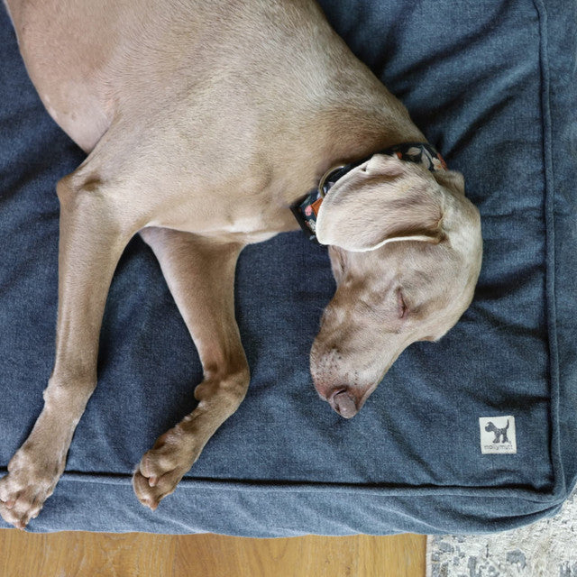 Molly Mutt Dragonstone Organic Dog Bed Duvet