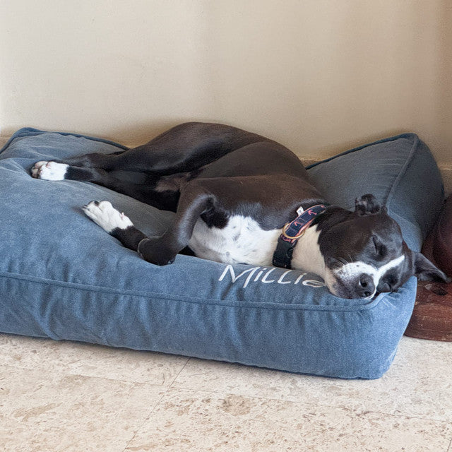 Molly Mutt Dragonstone Organic Dog Bed Duvet
