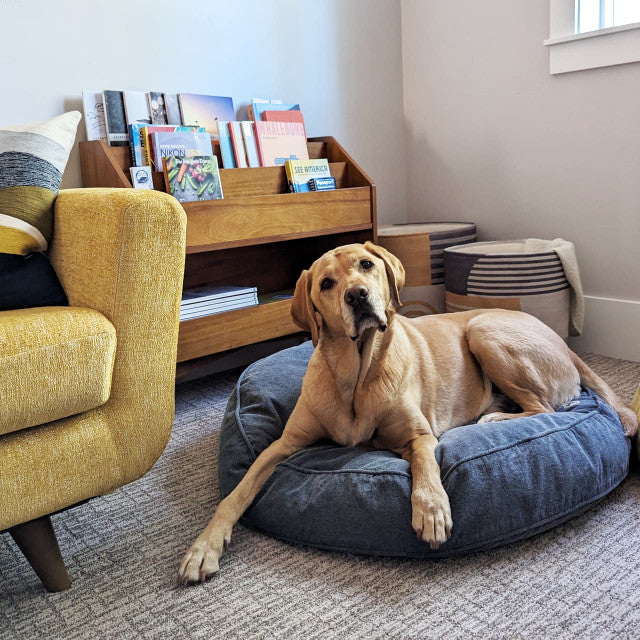 Molly Mutt Dragonstone Organic Dog Bed Duvet