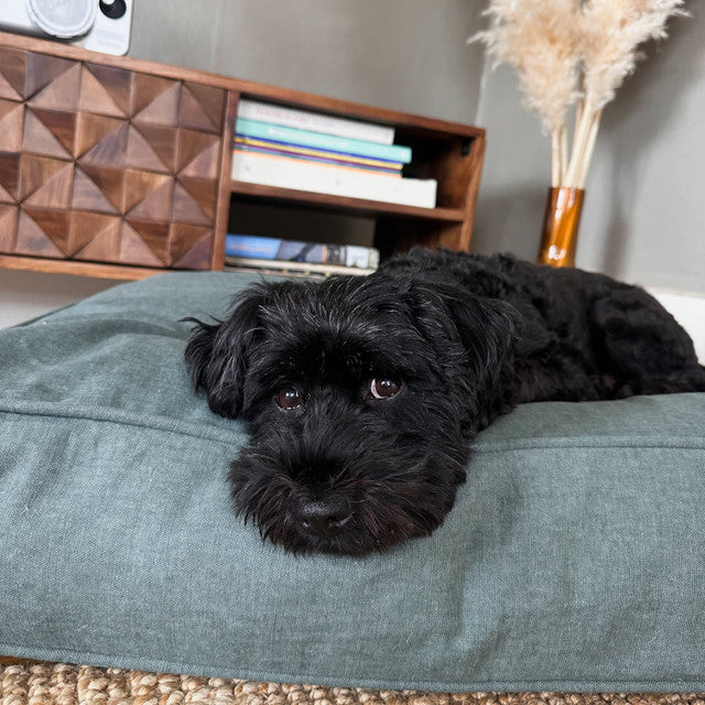 Molly Mutt Quiet Light Organic Dog Bed Duvet
