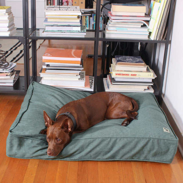 Molly Mutt Quiet Light Organic Dog Bed Duvet