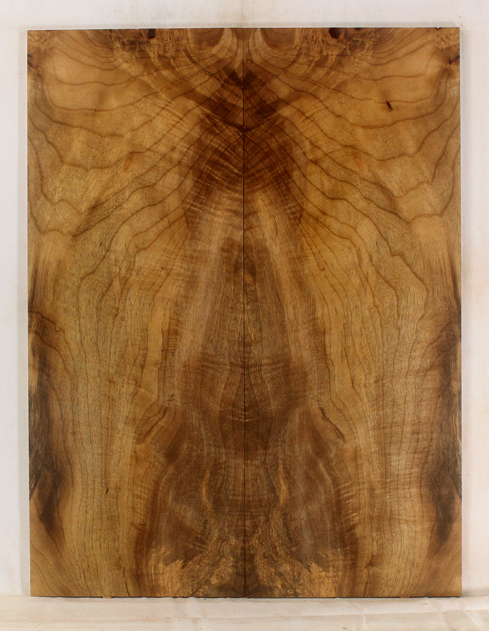 Myrtle Solid Body Guitar Top