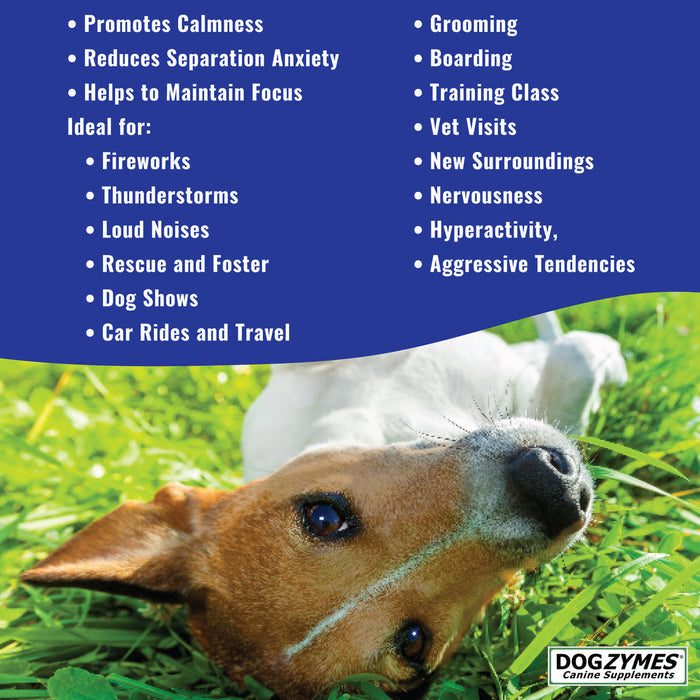 Nature's Farmacy Dogzymes Calm Paste