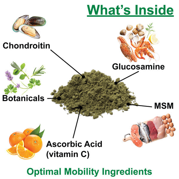 Nature's Farmacy Dogzymes Phyto-Flex®