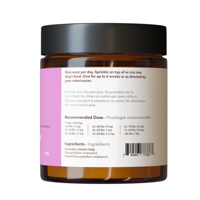 North Hound Life Canadian Atlantic Kelp