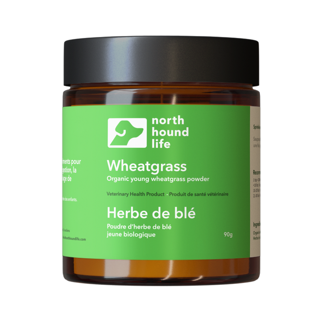 North Hound Life Dog Organic Wheatgrass