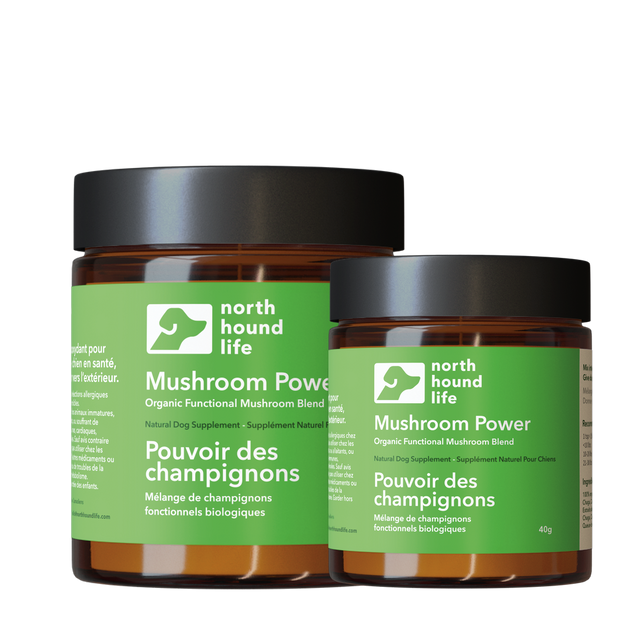 North Hound Life Mushroom Power Five Mushroom Superblend
