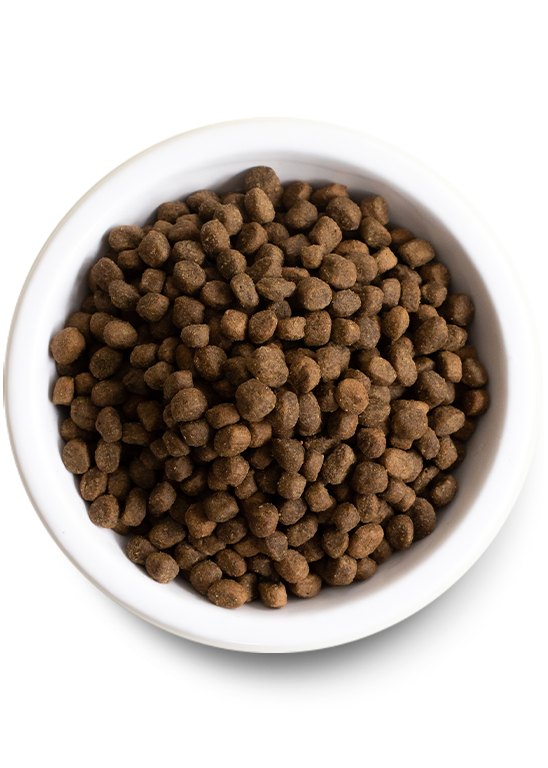 Open Farm Ancient Grains High-Protein Puppy Food