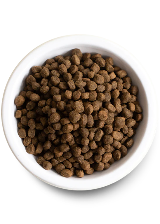 Open Farm Catch-of-the-Season Whitefish & Ancient Grains Dry Dog Food