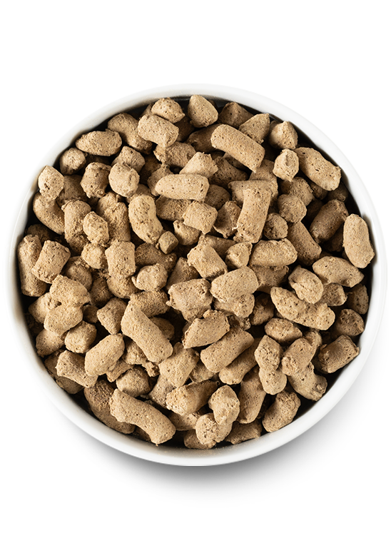 Open Farm Grass-Fed Beef Freeze Dried Raw Dog Food