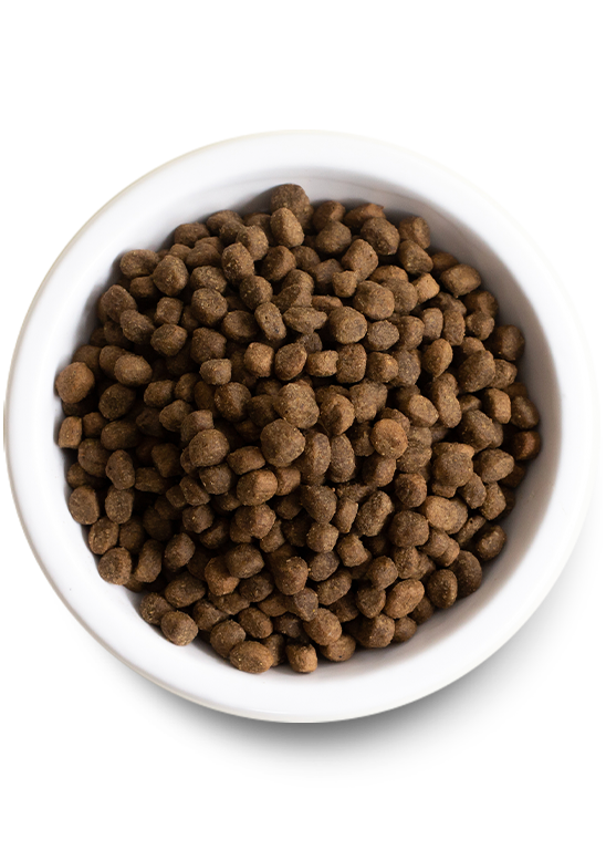 Open Farm Pasture-Raised Lamb Grain-Free Dry Dog Food