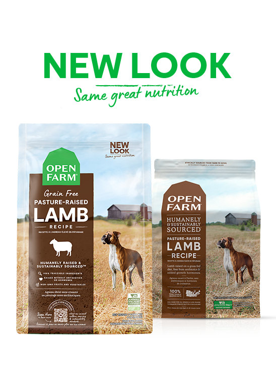 Open Farm Pasture-Raised Lamb Grain-Free Dry Dog Food
