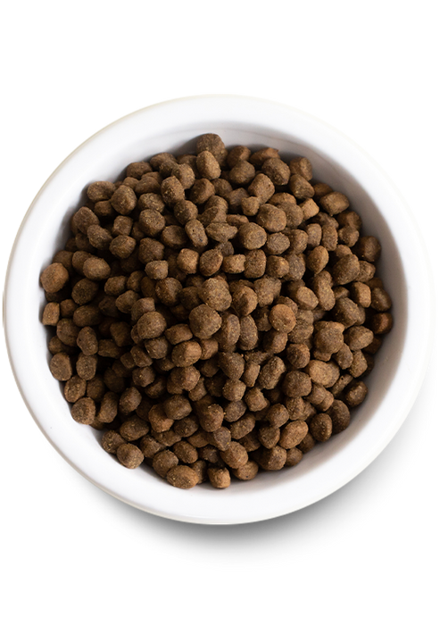 Open Farm Salmon & Sweet Potato Grain-Free Puppy Food