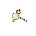 Orbit Gold Flat Back Labret