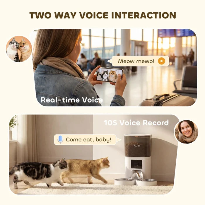 Pet Feeder Mia - PETSTEP