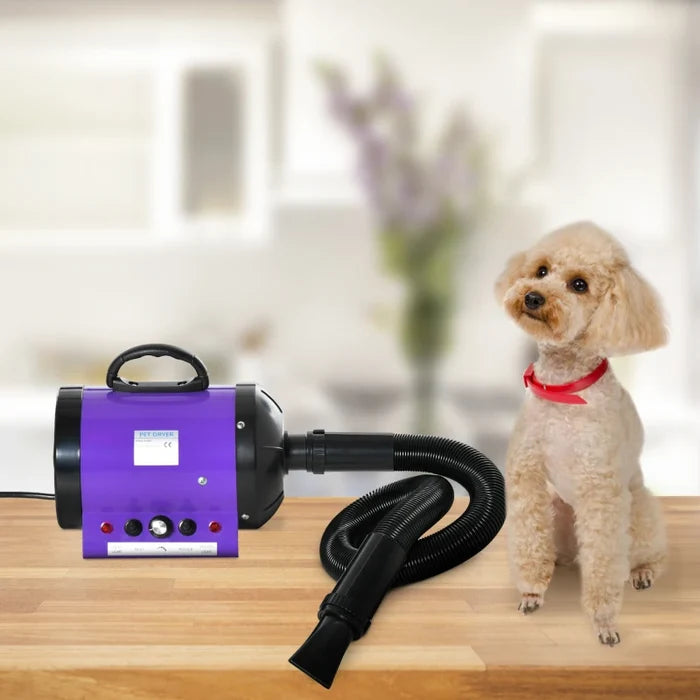 Pet Grooming Dryer & Blower Kiera
