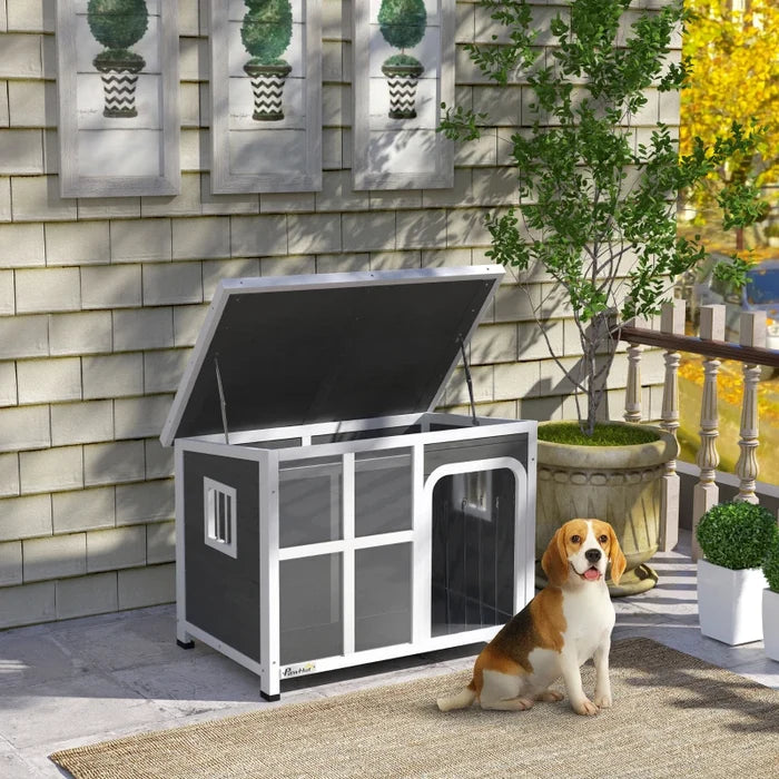 Pet House Loco - PETSTEP
