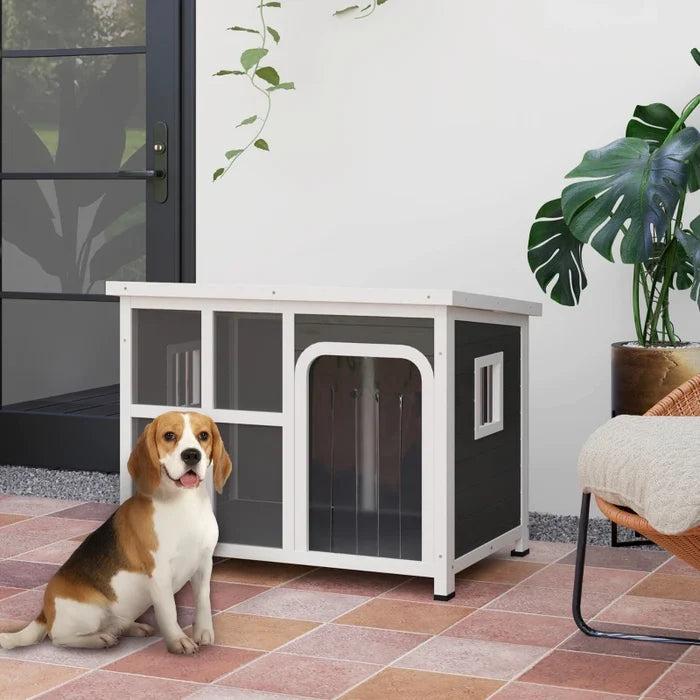 Pet House Loco - PETSTEP