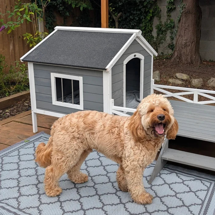 Pet House Tony - PETSTEP
