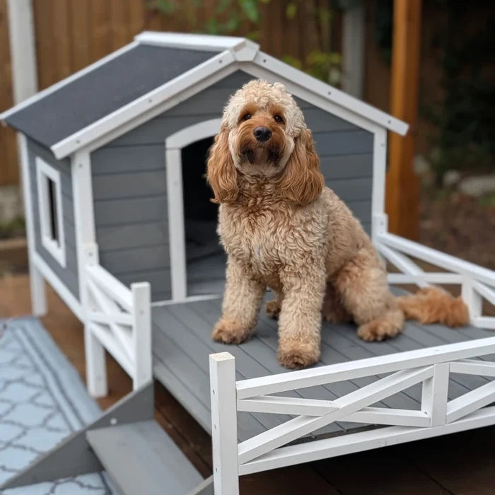 Pet House Tony - PETSTEP