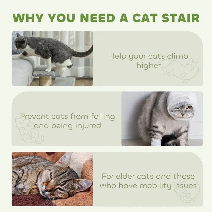 Pet Ladder Mace - PETSTEP