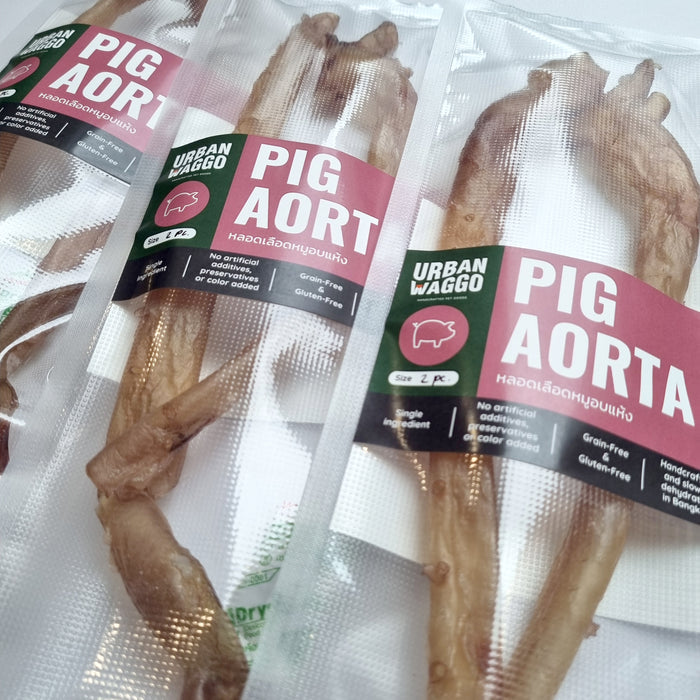 Pig Aorta
