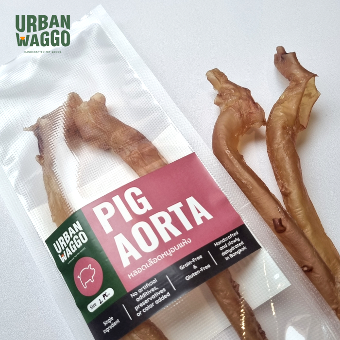 Pig Aorta