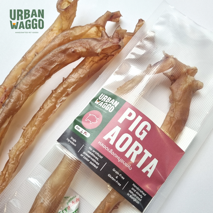 Pig Aorta