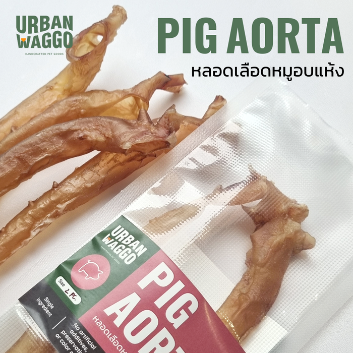 Pig Aorta