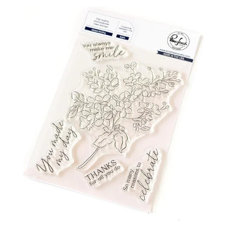 Pinkfresh Studio Clear Stamp Set