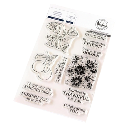 Pinkfresh Studio Clear Stamp Set