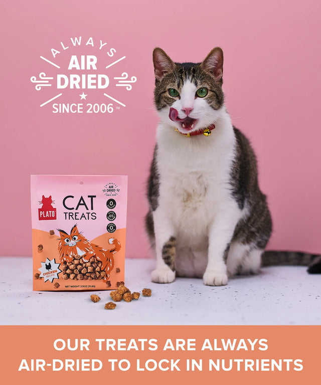 Plato Chicken Cat Treats