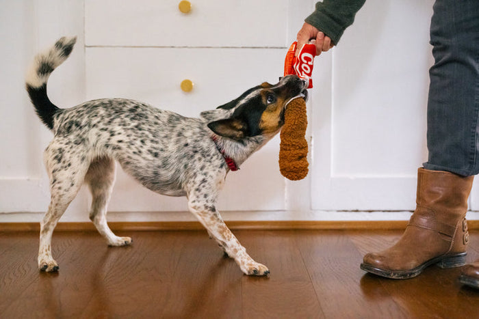 P.L.A.Y. Snack Attack Good Boy Cola Dof Toy