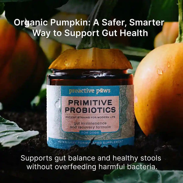 Proactive Paws Primitive Probiotics™ Gut Maintenance and Recovery Formula for Dogs