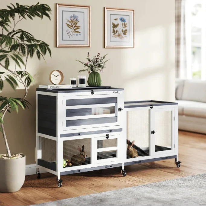Rabbit Hutch Quinn - PETSTEP