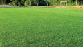 Ray's Crazy Fall Mix & Inoculant 50# bag