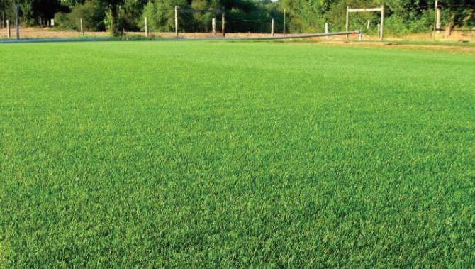 Ray's Crazy Fall Mix & Inoculant 50# bag