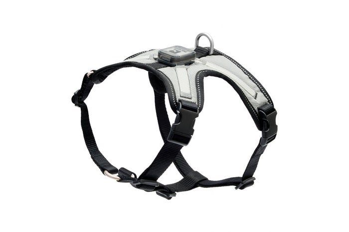 RC Pet Nova LED Light Harness