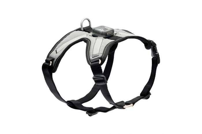 RC Pet Nova LED Light Harness