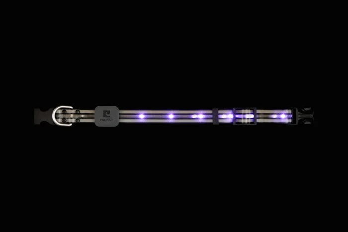 RC PETS Nova LED Light Collar