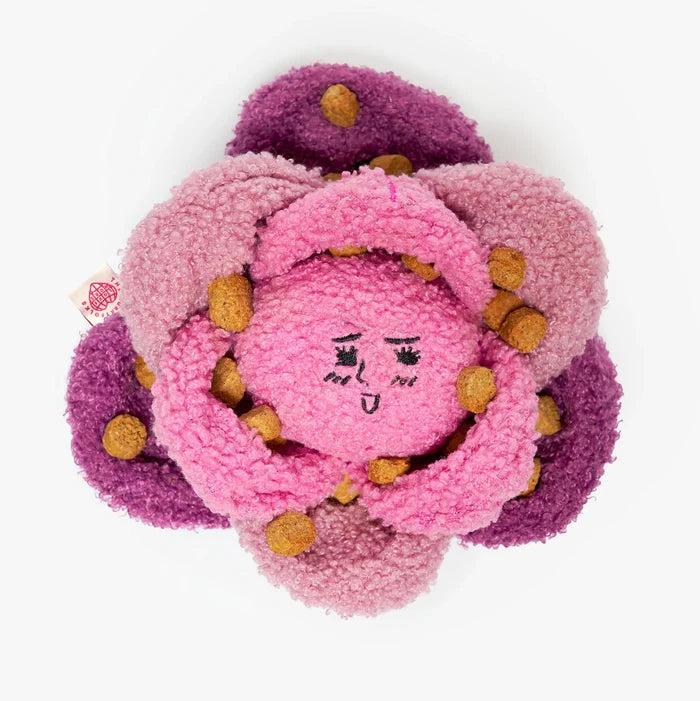 Red Cabbage Nosework Toy