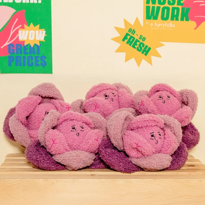 Red Cabbage Nosework Toy
